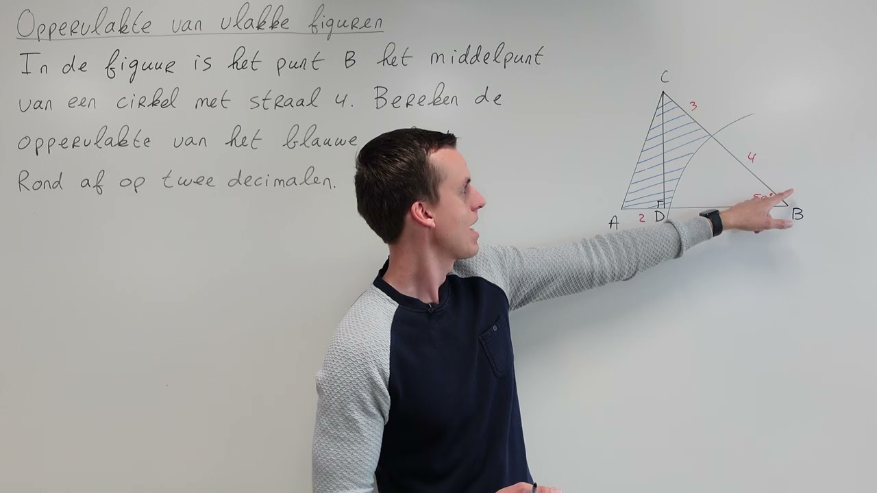 Oppervlakte van vlakke figuren (VWO wiskunde B)