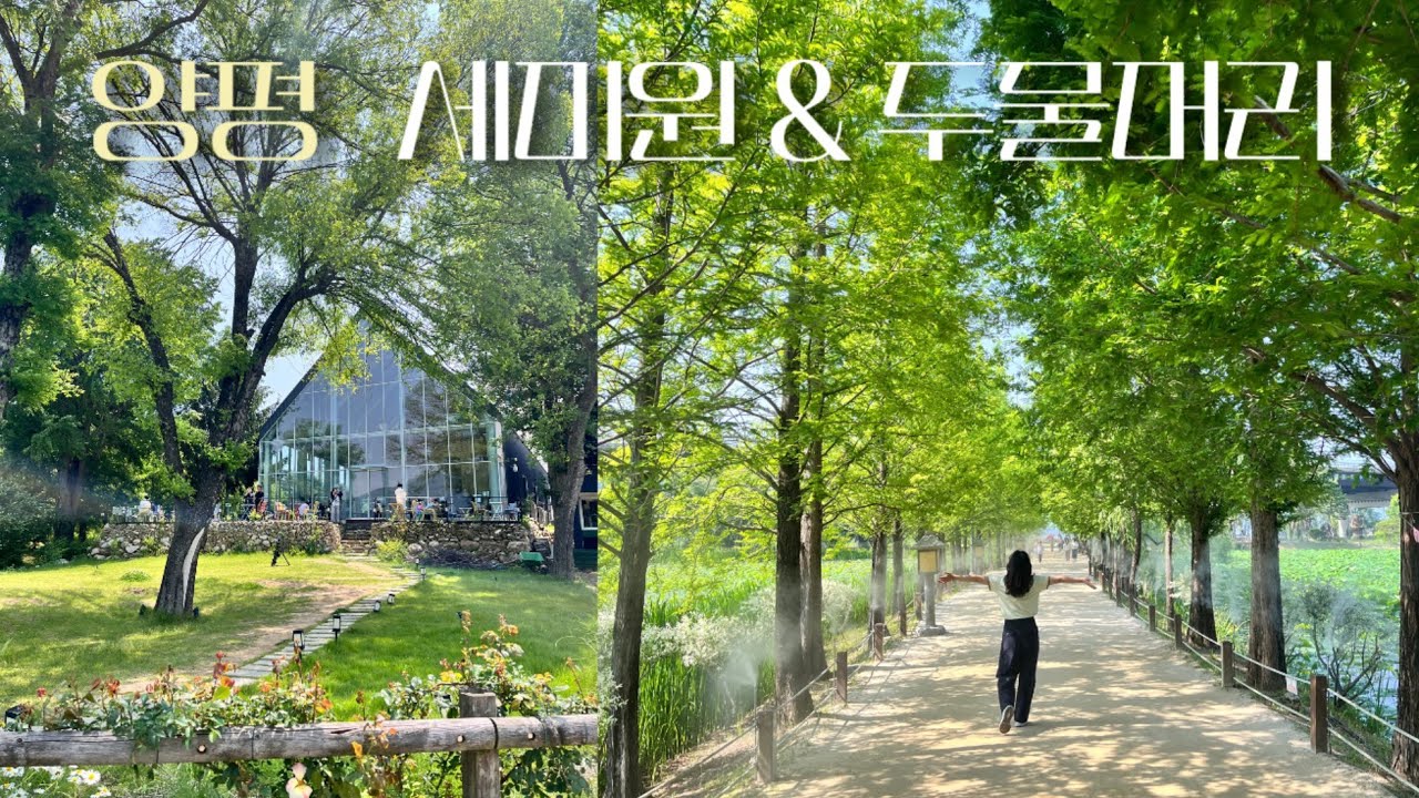 [서울근교] 세미원•두물머리 | 경기 양평 가볼만한 곳