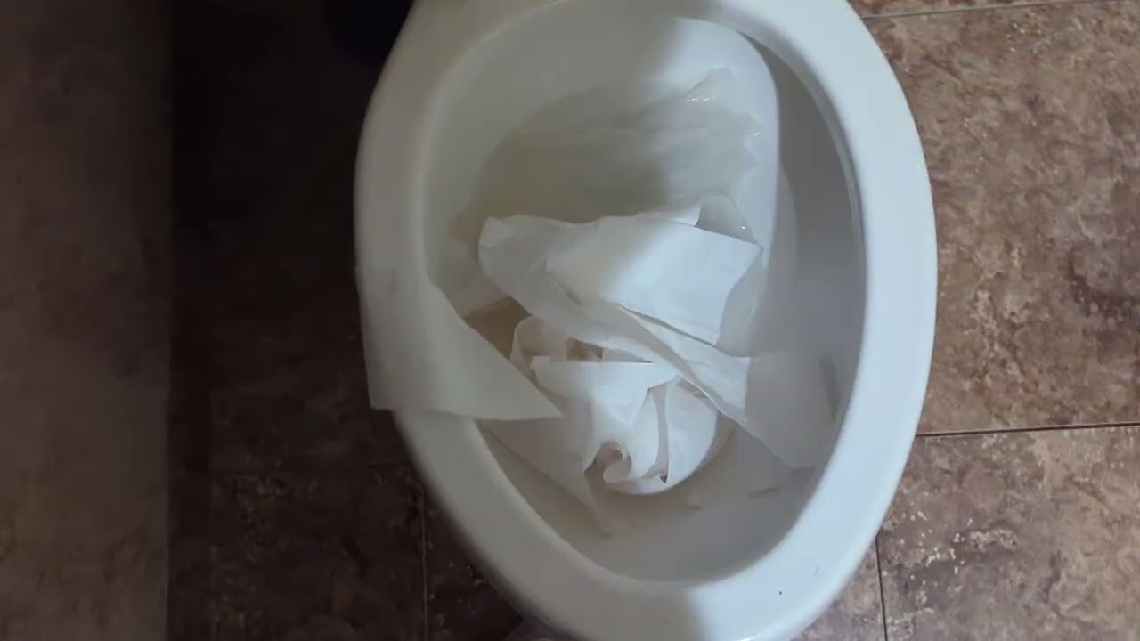 New Kohler Highline pressure lite toilet