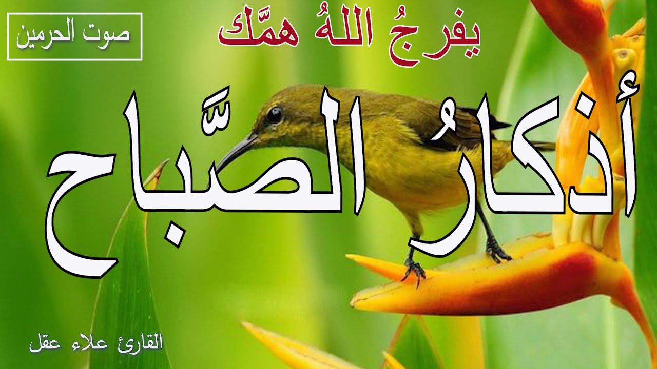 أذكار الصباح  | راحة نفسية لا توصف|  بصوت القارئ علاء عقل | Morning Athkar - Dzkir Pagi