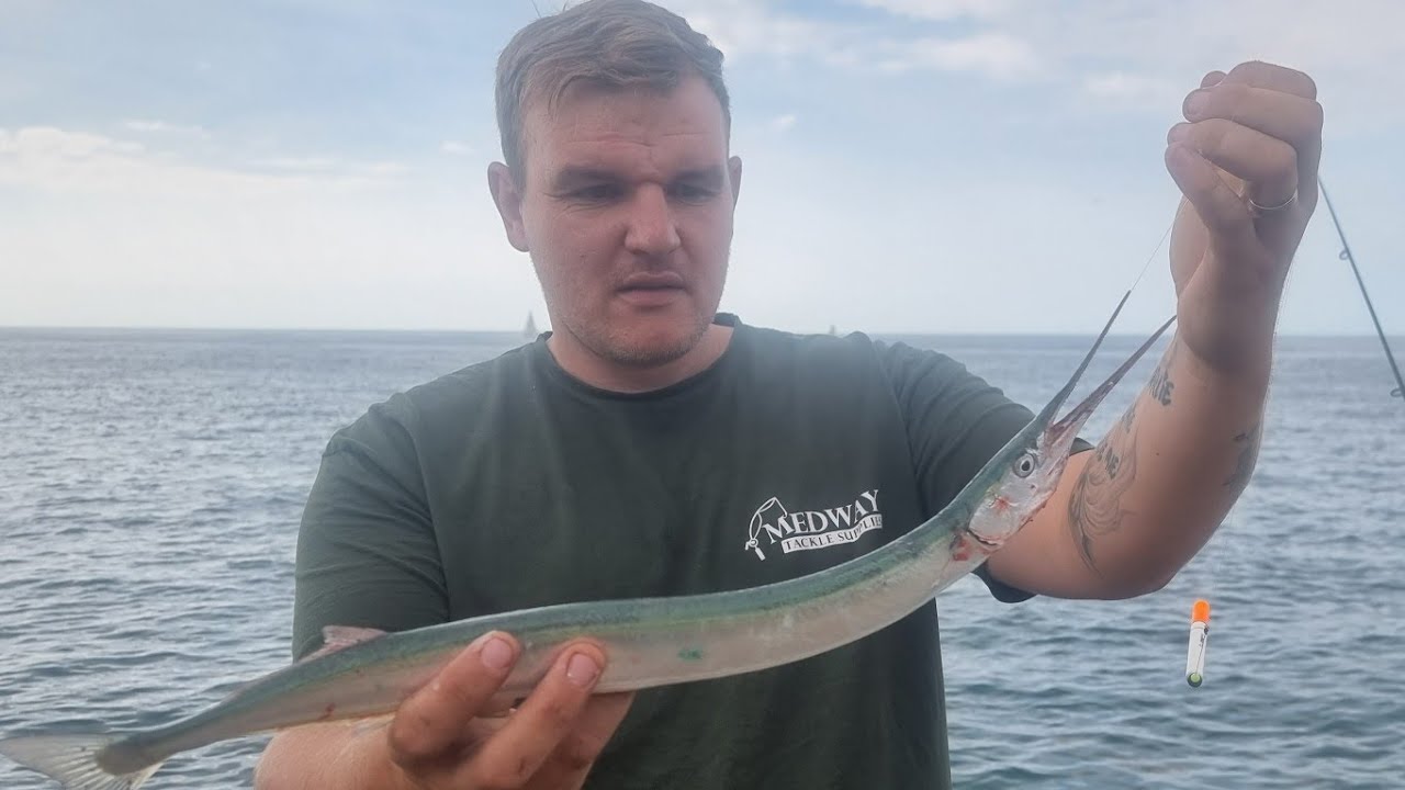 PIER FISHING for garfish / longnose  so much fun pier fishing uk