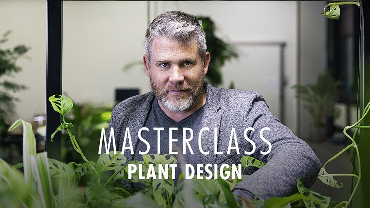 So wird dein Haus lebendig mit Plant Design | Philip van Traa Masterclass