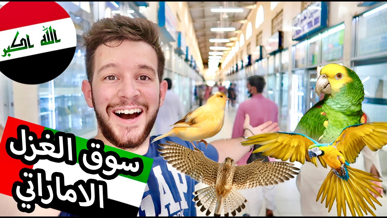 سوق الغزل للحيوانات الجمعة بس بالامارات الشارقة شوفوا الطيور الكناريات والببغاوات سوق عملاق سمك زينة