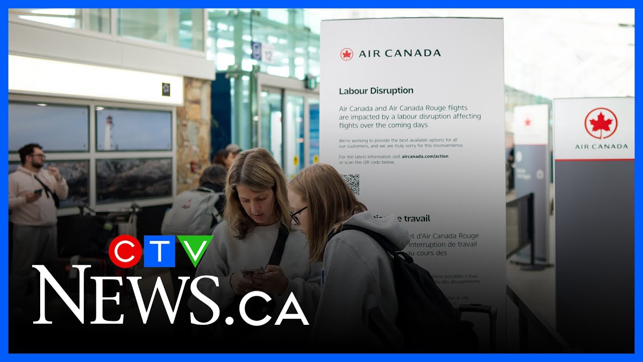 Canadian stranded in Portugal says they've 'lost faith in Air Canada’