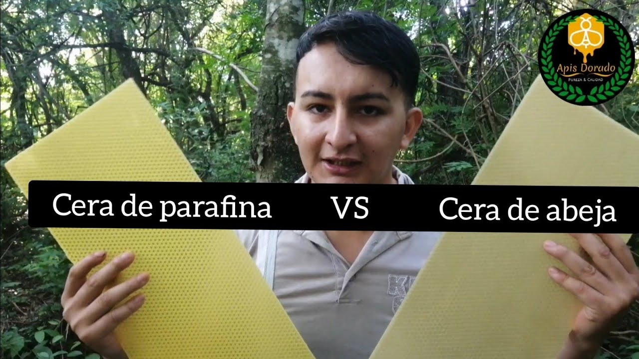 La cera de parafina || cera china