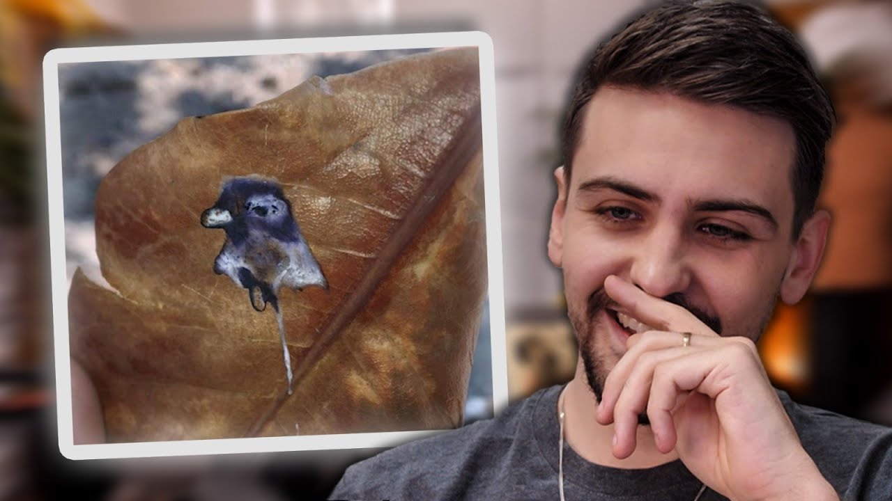 MAIS COMMENT ÇA A PU ARRIVER ?! (Y'avait 0% de chance)