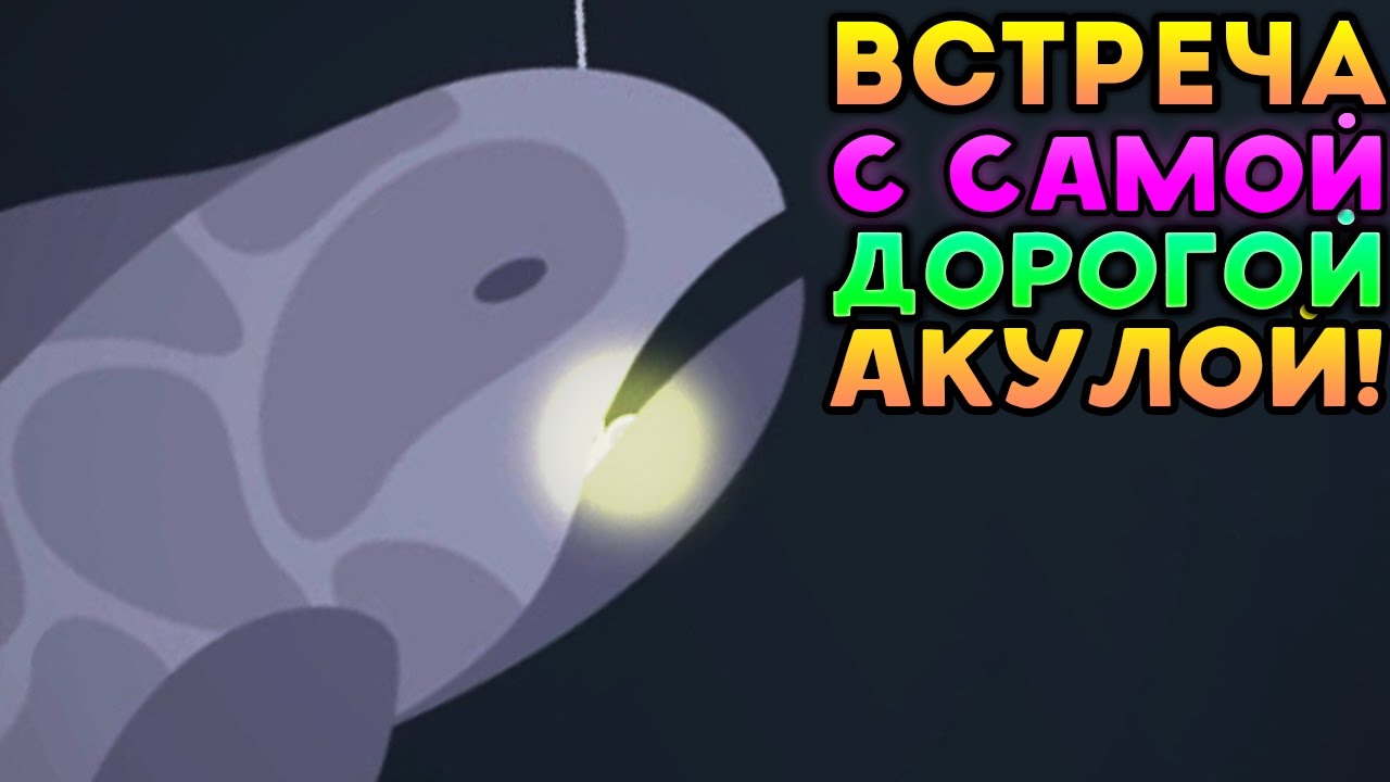 ВСТРЕЧА С САМОЙ ДОРОГОЙ АКУЛОЙ! - Cat Goes Fishing