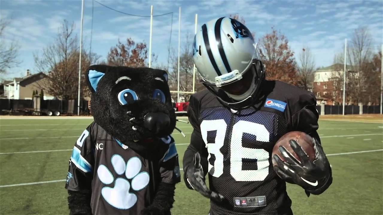 Sir Purr Hype