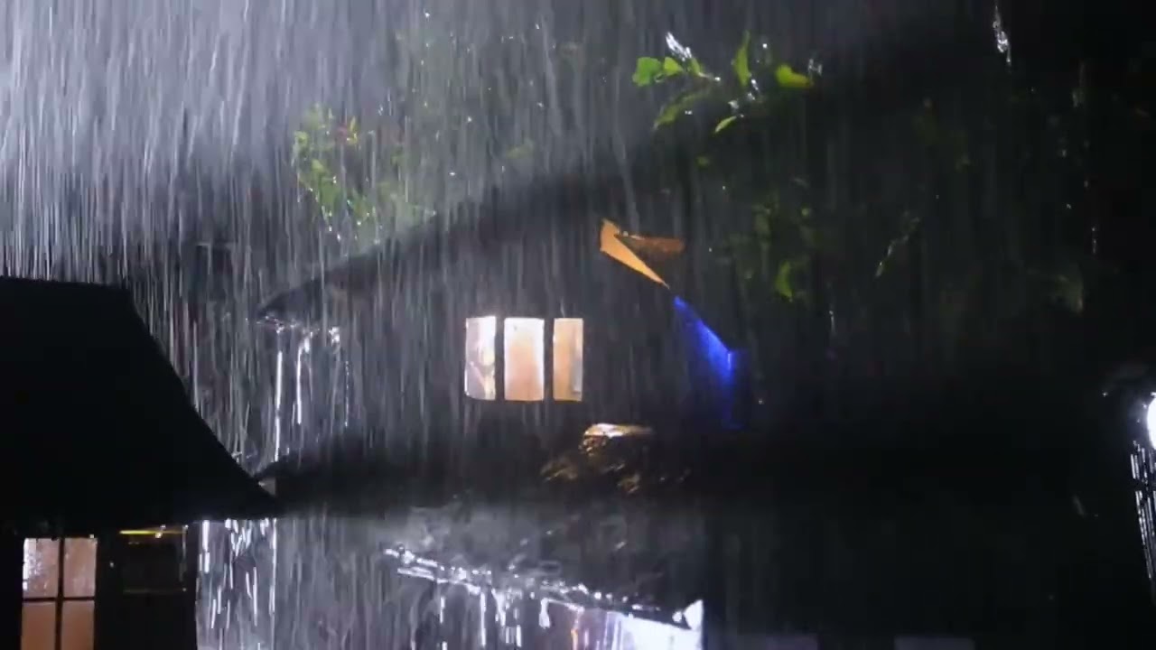 Gentle Rain Tapping for Insomnia Relief