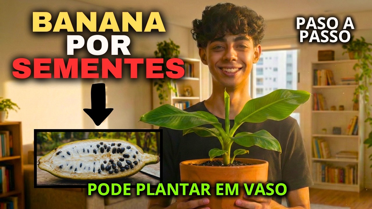 As Seis Frutífera Mais Fáceis de Plantar por Sementes! Até Banana!