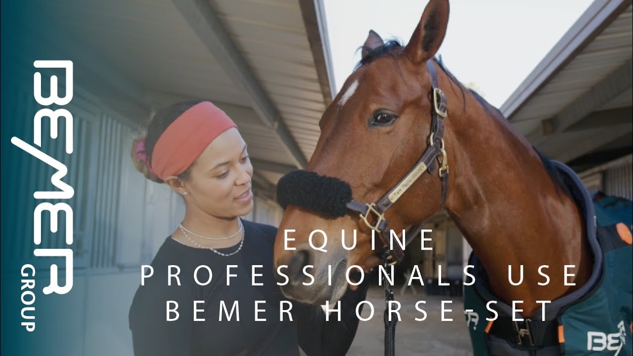 Review on Equine Therapy Products: BEMER Horse Set