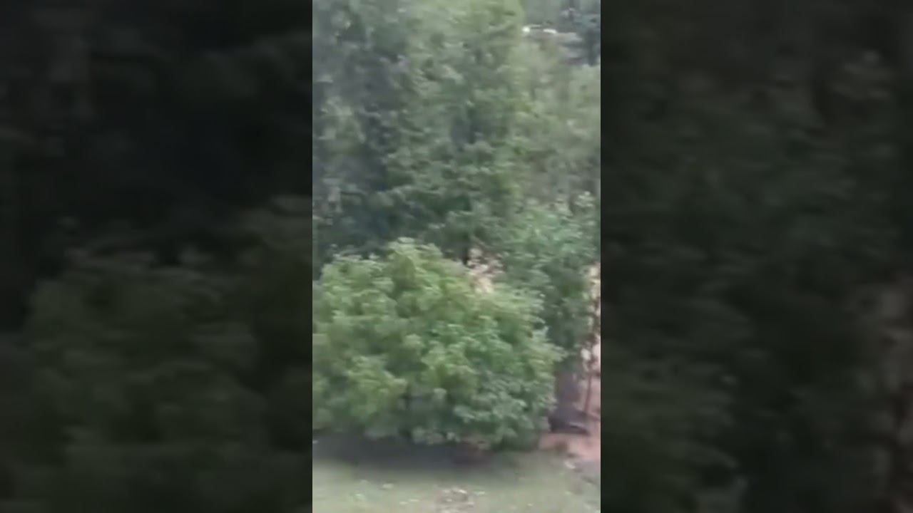 #reasi mahore #cloudburst #shortvideo