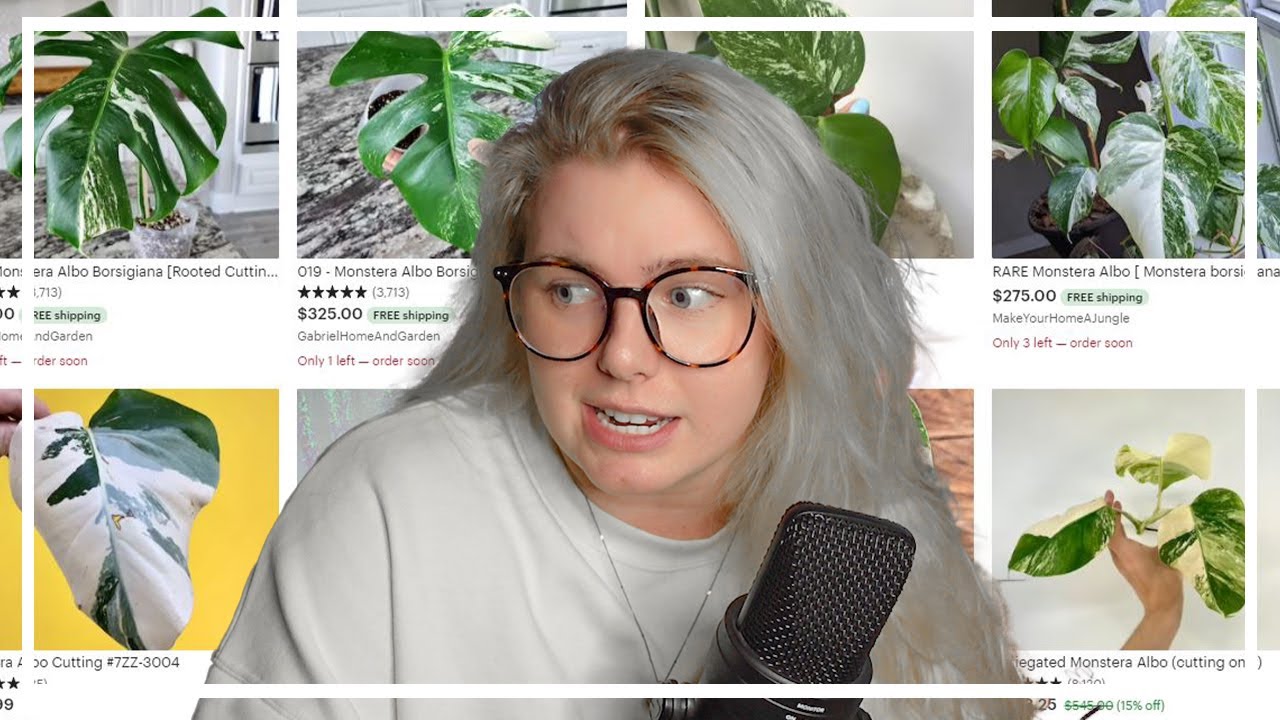 Go Wishlist Online Plant Shopping With Me!