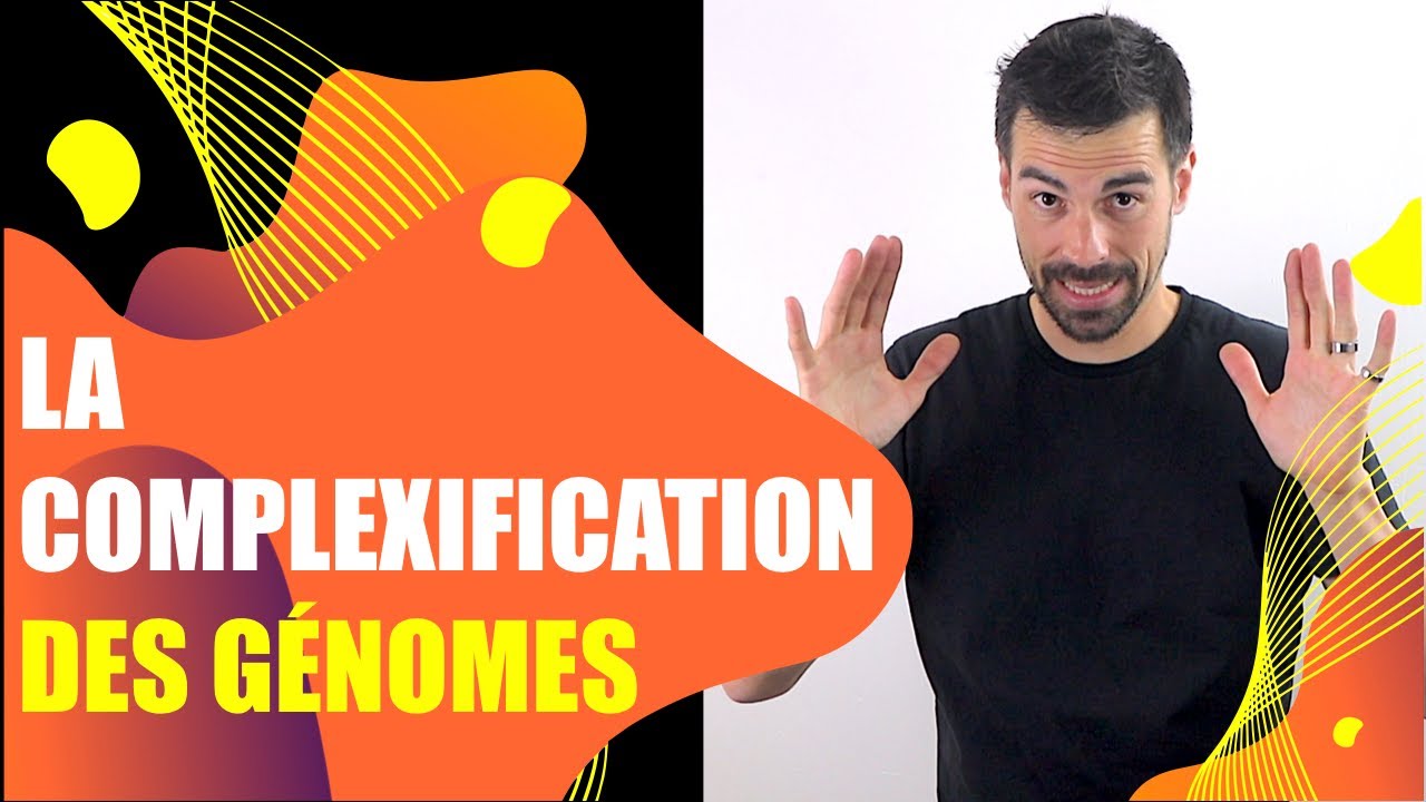 COURS DE TERMINALE SPÉCIALITÉ SVT : CHAP.3: LA COMPLEXIFICATION DES GÉNOMES -Bio Logique-
