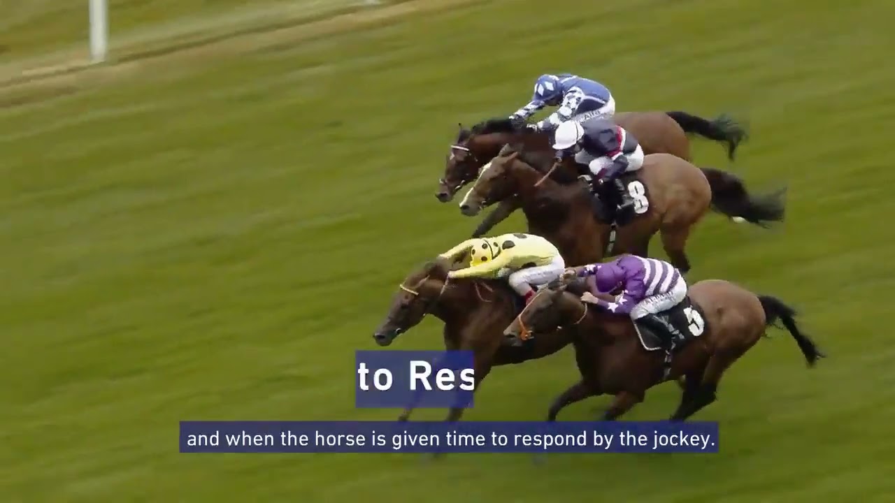 How the whip is used in British racing