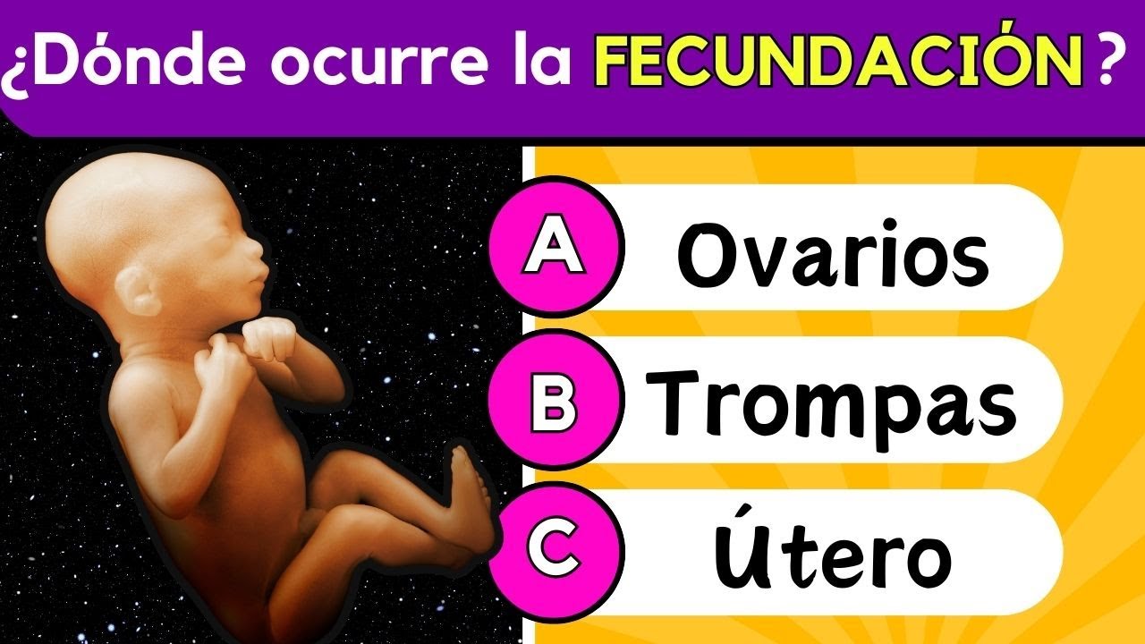 🔬❓&iquest;Cu&aacute;nto Sabes Sobre la Reproducci&oacute;n Humana? | Test Educativo para Estudiantes 🧠✅ Biolog&iacute;a quiz