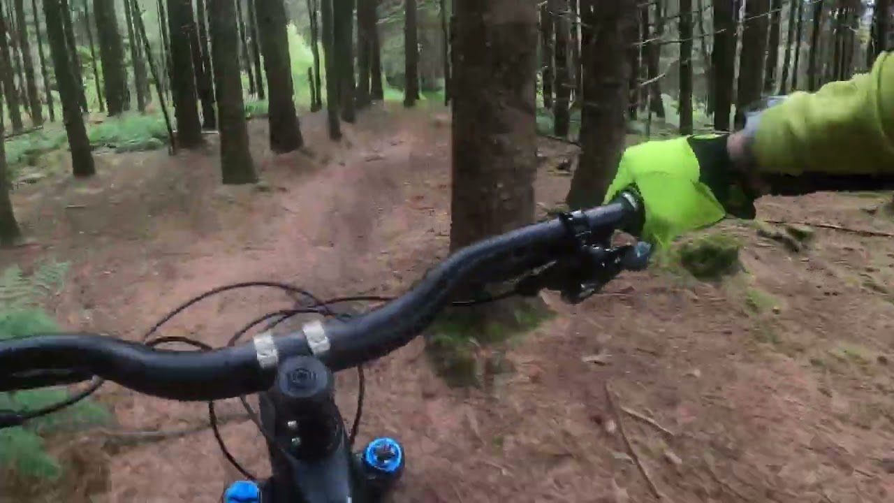 Grogley woods Mtb