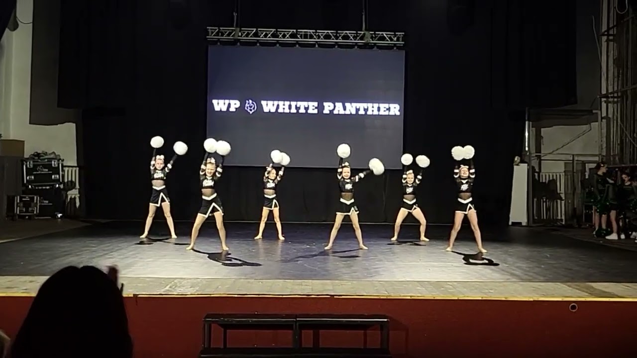 Біла пантера мініси #cheer 