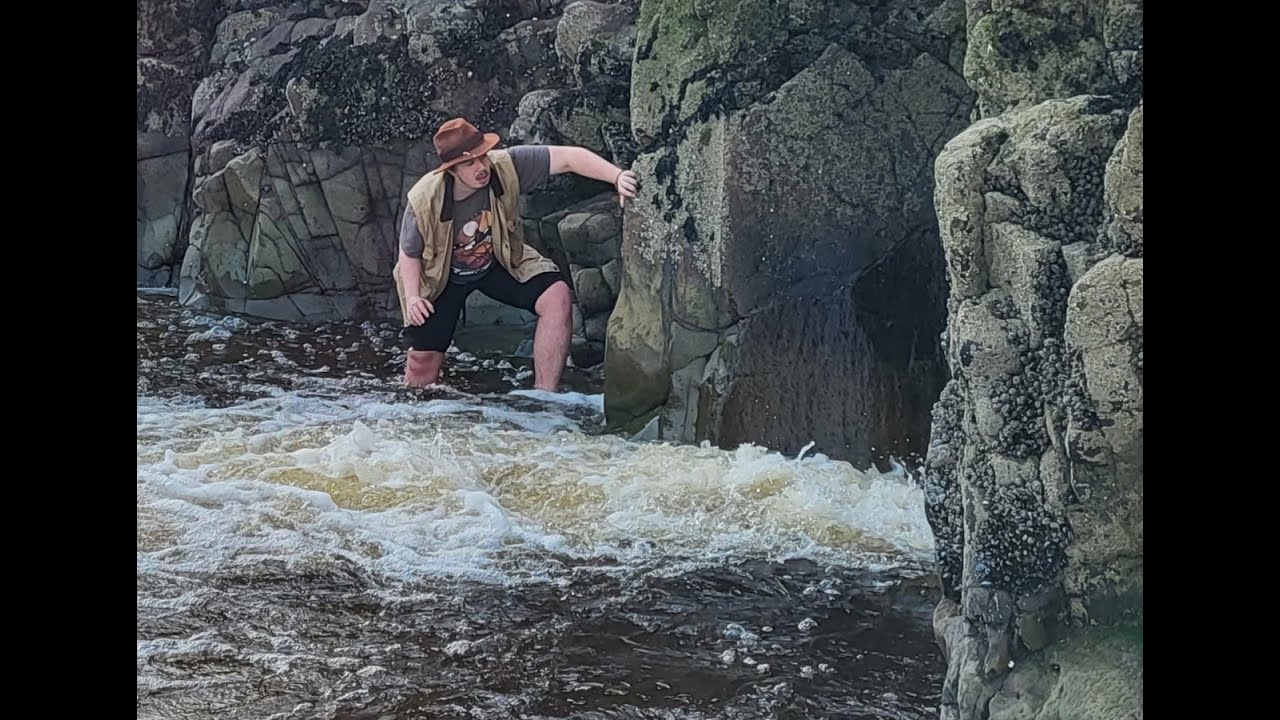 The Unexpected Adventure