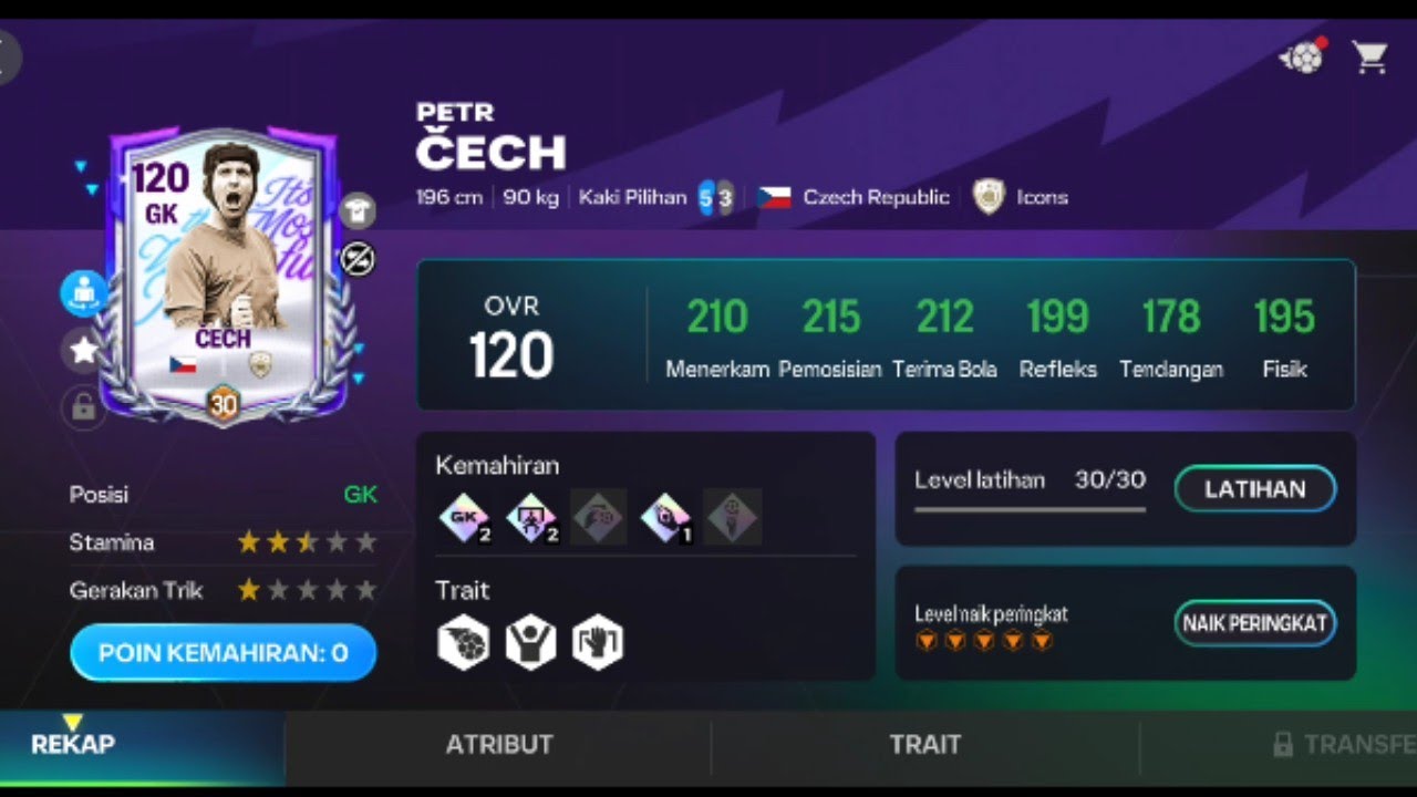 Tes GK petr Cech vs peter Schmeichel 