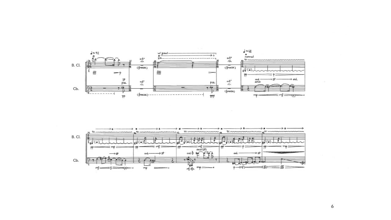 Chatori Shimizu - big mosquito for Bass Clarinet and Double Bass (2017) [Score-Video]