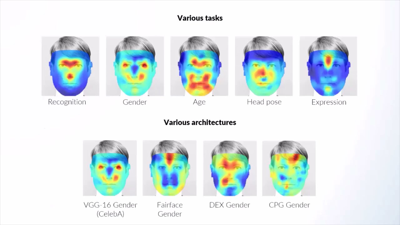 Canonical Saliency Maps: Decoding Deep Face Models