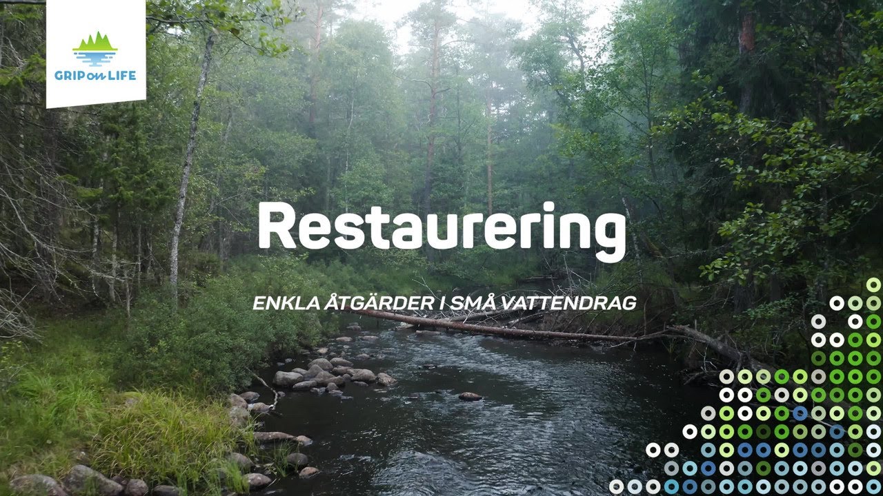 Restaurering - enkla åtgärder i små vattendrag