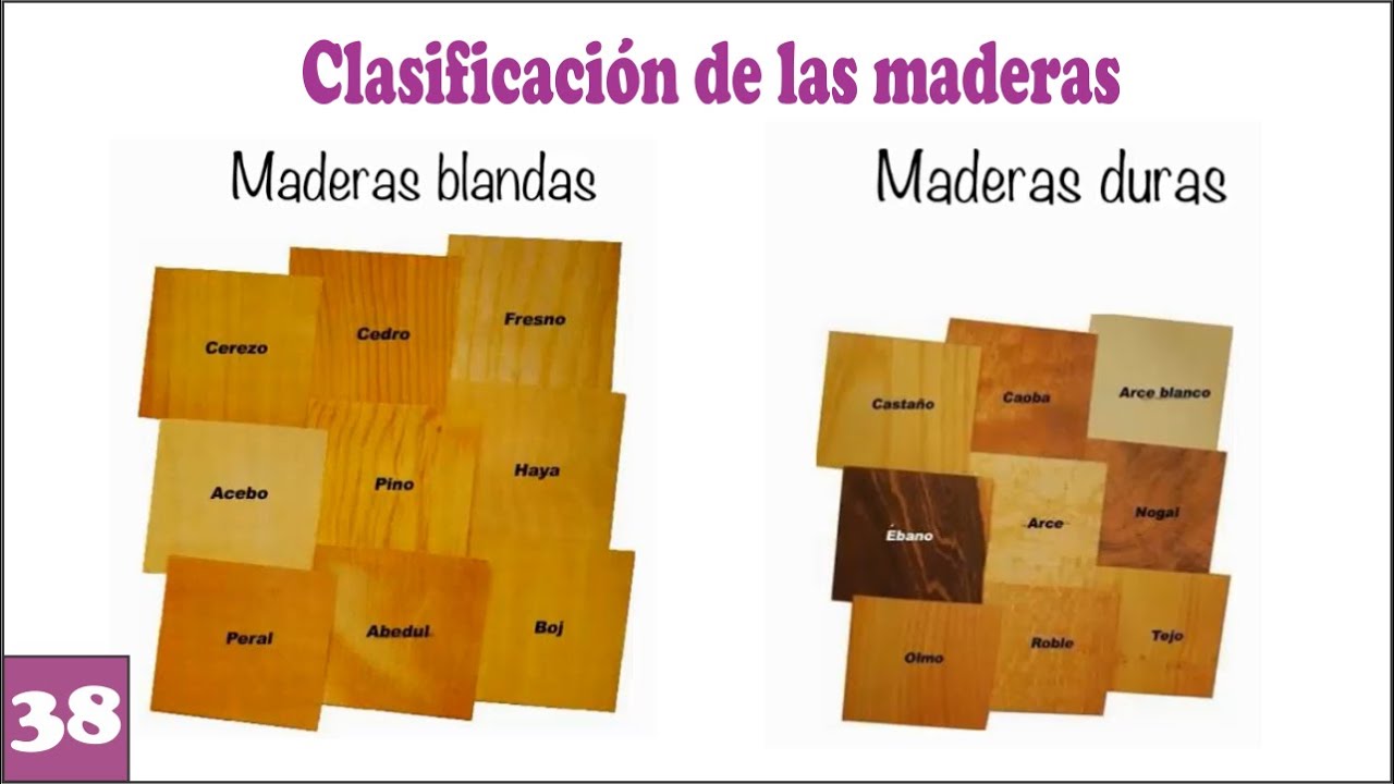 TIPOS DE MADERAS Duras y Blandas 🌲