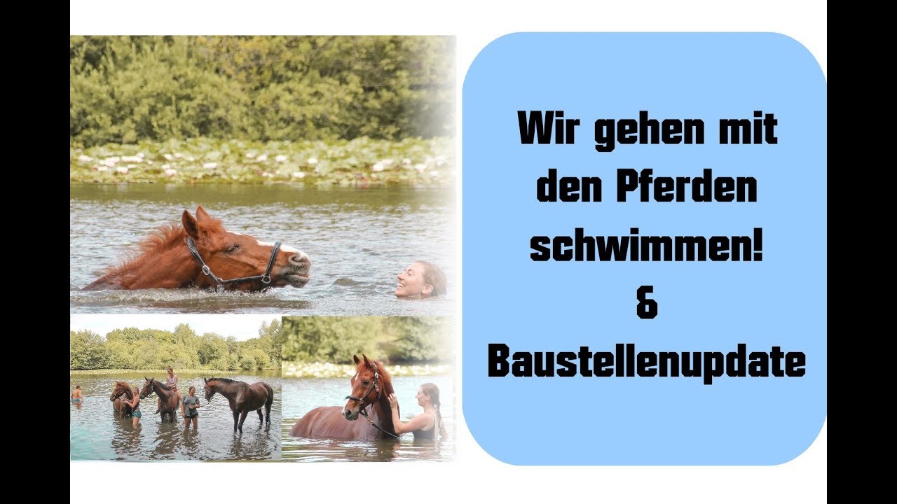 [Vlog] Schwimmen mit Pferd | 05.08.2018