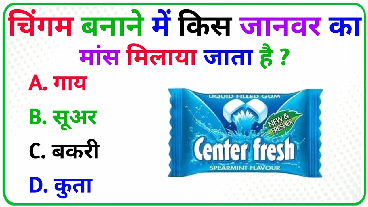 GK Questions || GK Quiz || GK in Hindi || GK Questions and answer || gk today || ms gk quiz ||