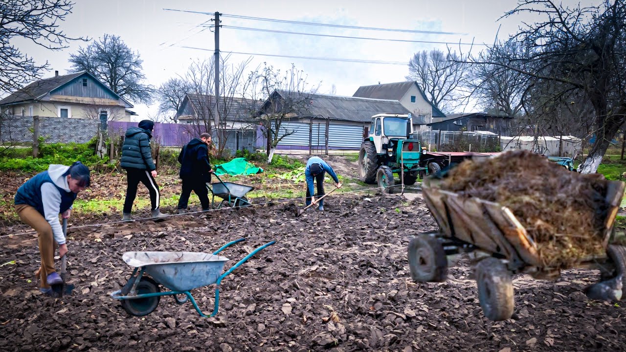 Two days of rural life in autumn in Ukraine | planting raspberries, driving a tractor, chopping 