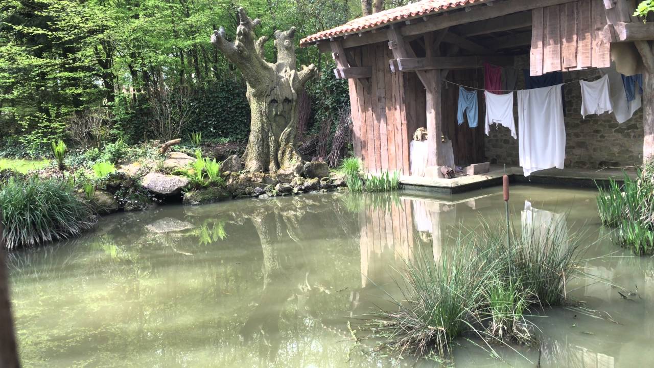 Le chêne et le roseau