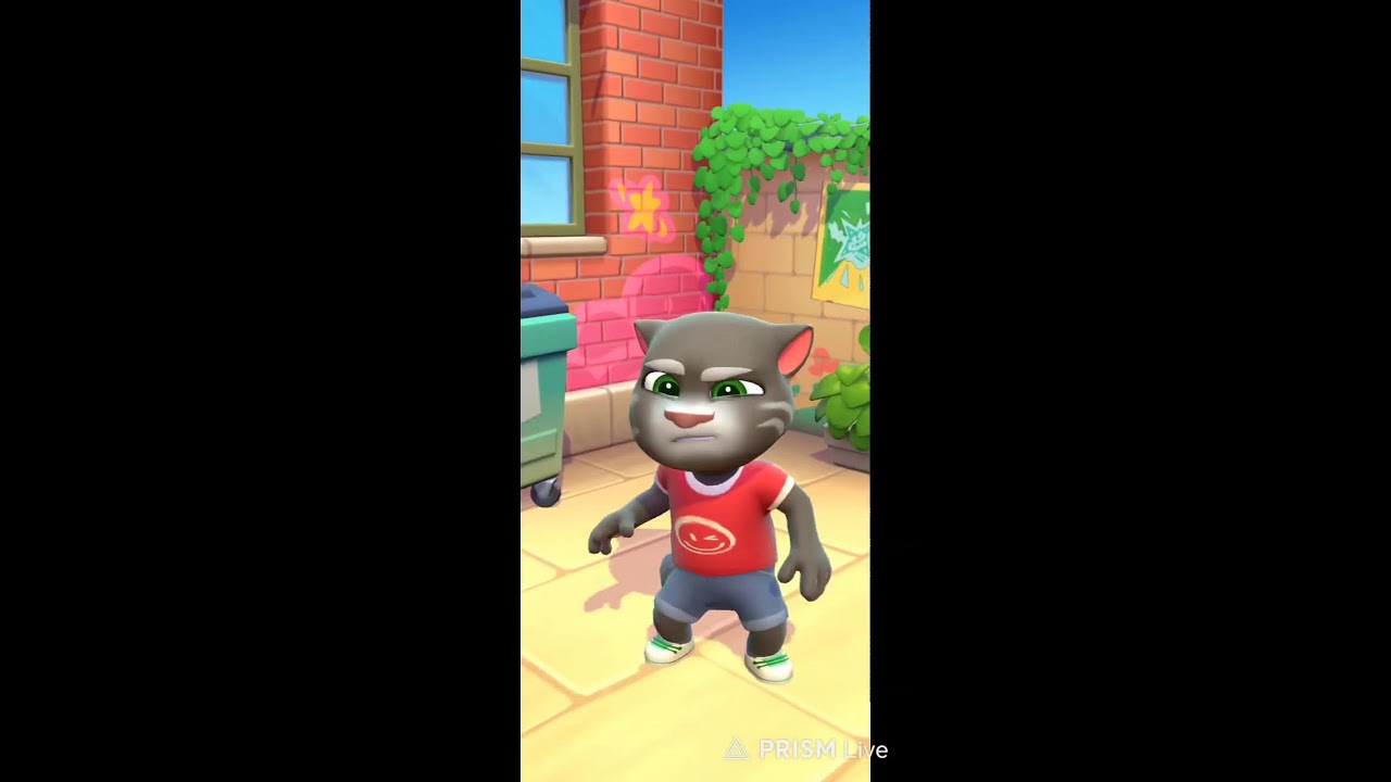 My talking Tom 2