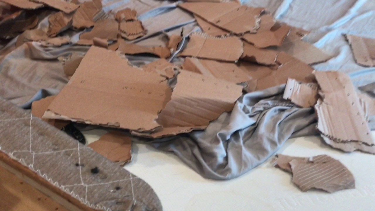 How to quickly fix a squeaky boxspring
