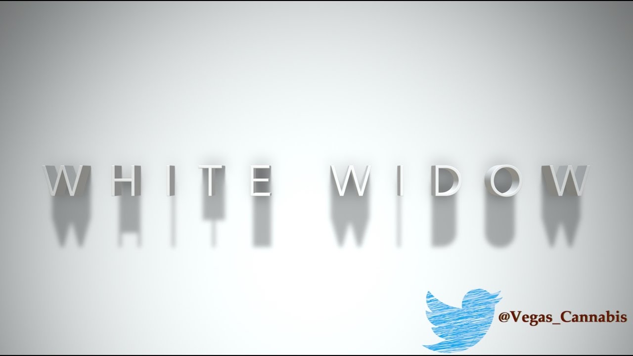 White Widow Strain Information / Review