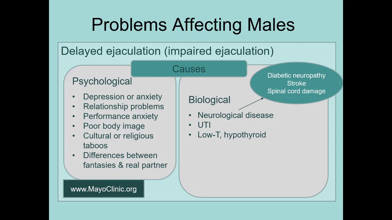 Ch 14.6 Human Sexuality Delayed Ejaculation