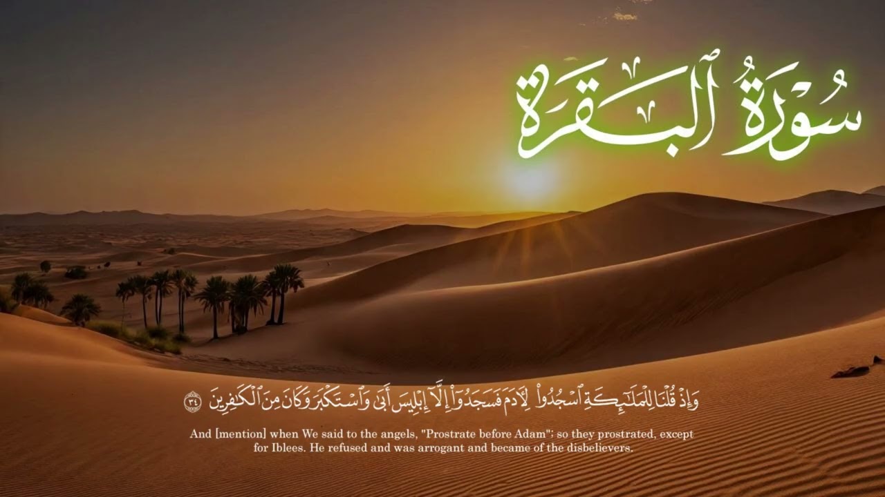 ❣️سورةالبقرة❣️❣️سورةالبقرةكاملة❣️❣️سورةالبقرةمباركة❣️❣️سورةالبقرةنور_الهدى❣️