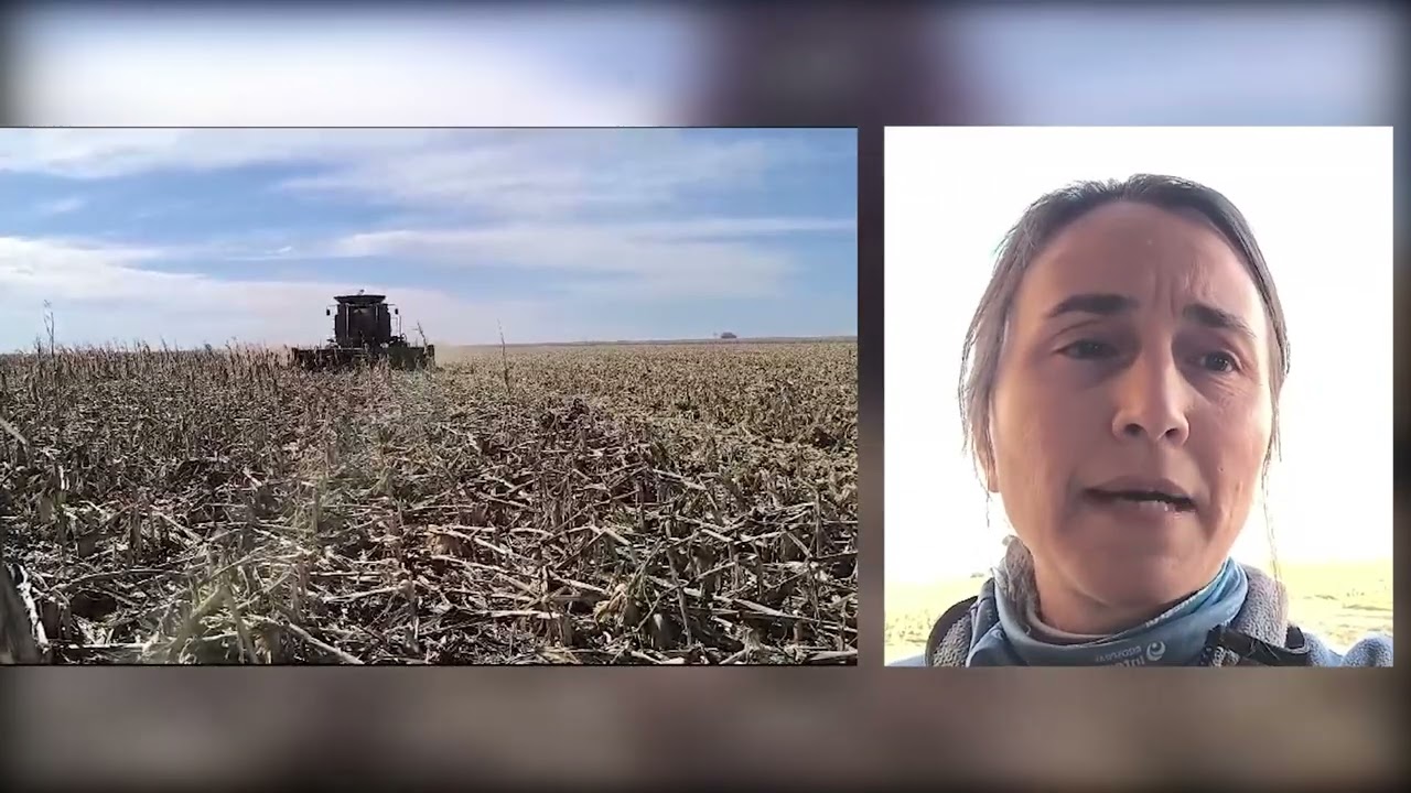 M&oacute;nica Fraresso:del campo cosechando ma&iacute;z quebrado a la organizaci&oacute;n del Congreso de Ings. Agr&oacute;nomos