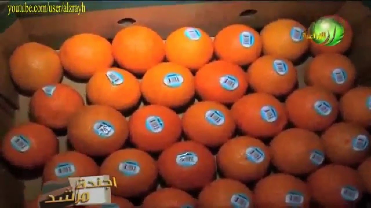 مراحل تجهيز البرتقال للتصدير فى محطات تصدير البرتقال