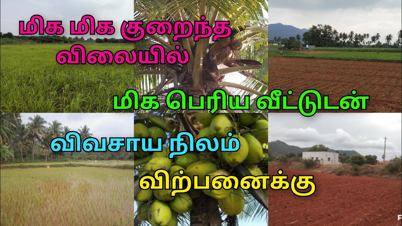 9600525601 திண்டுக்கல் மாவட்டம் அழகாபுரி அருகில்  தார் சாலையின் மேல் விவசாய நிலம் விற்பனைக்கு