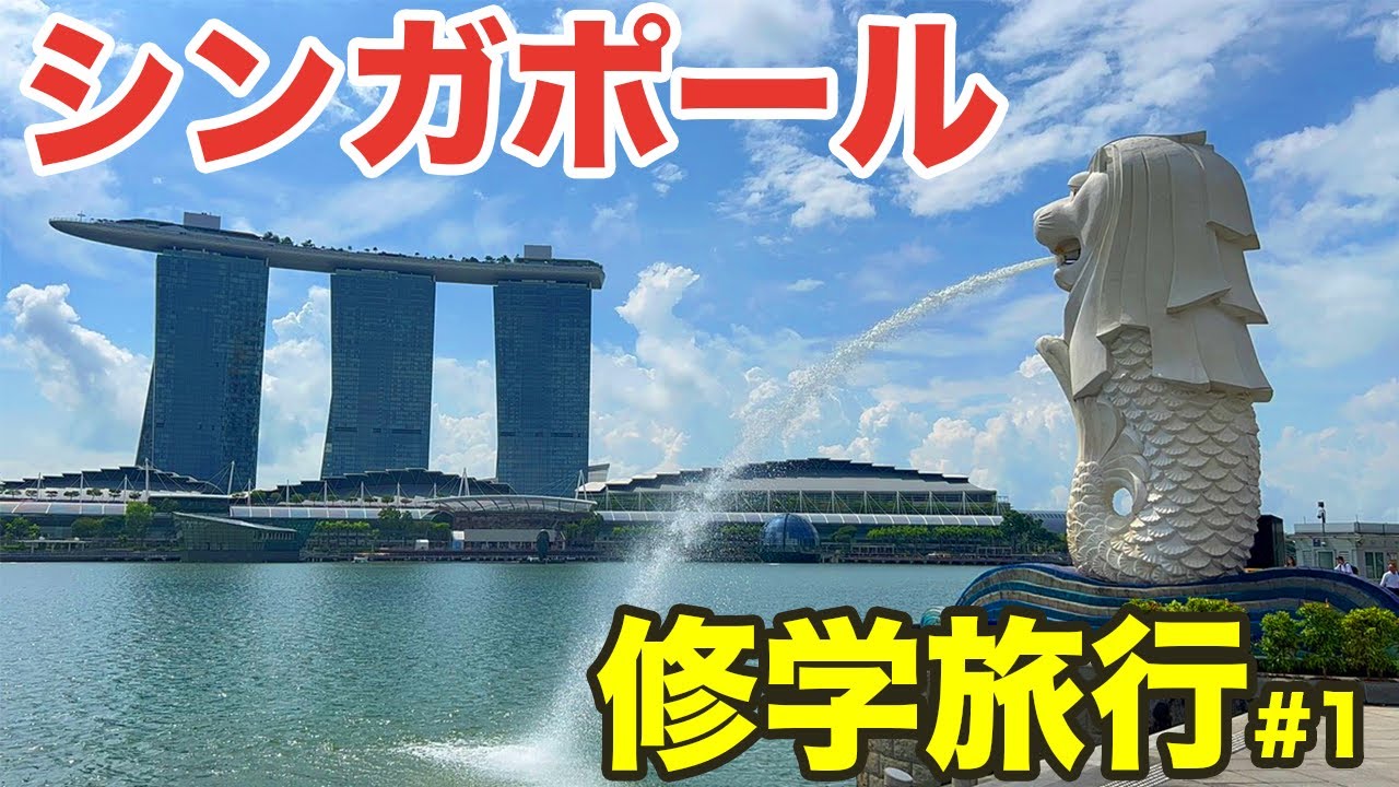 シンガポールって本当に良い国なの？【シンガポール5泊7日ひとり旅#1】