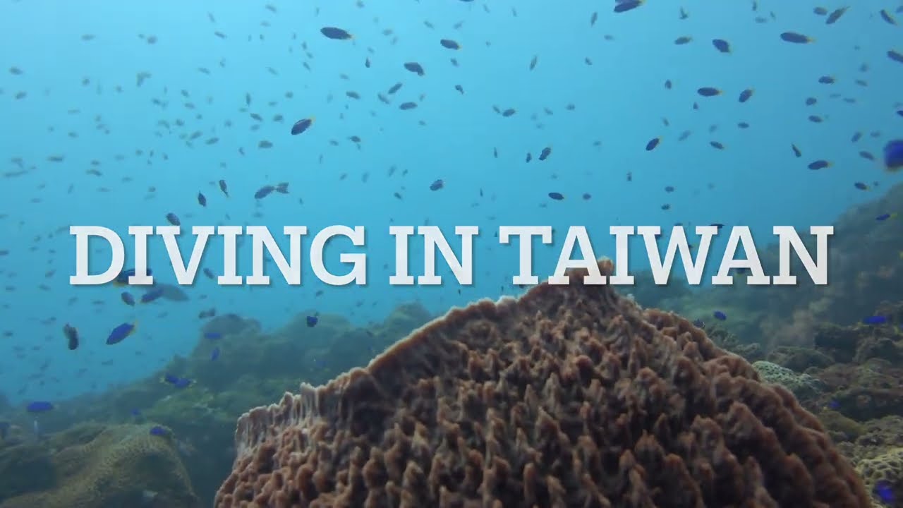 Where to Dive in Taiwan?