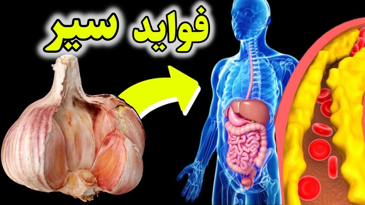وقتی هر روز سیر می‌خورید، چه اتفاقی در بدن شما می‌افتد؟وچطور بوی بدش رو ازبین ببریم