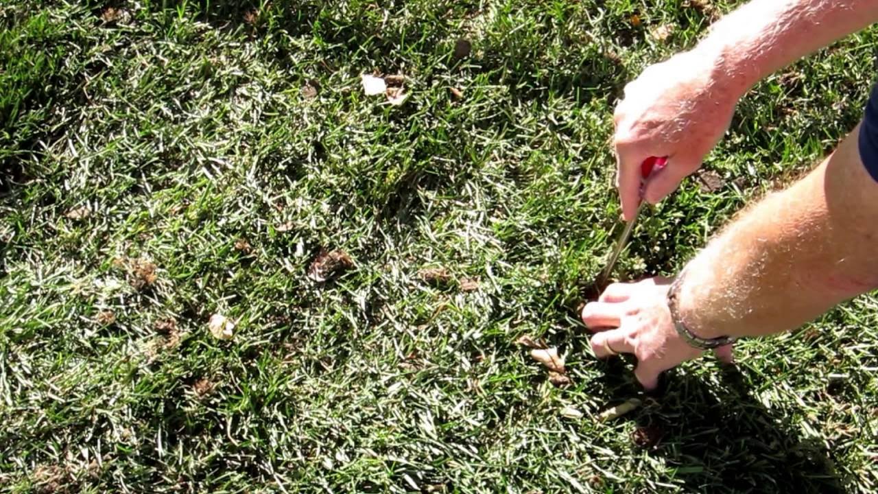 Using the Screwdriver Technique for removing targets Metal Detecting Oct 15,2016