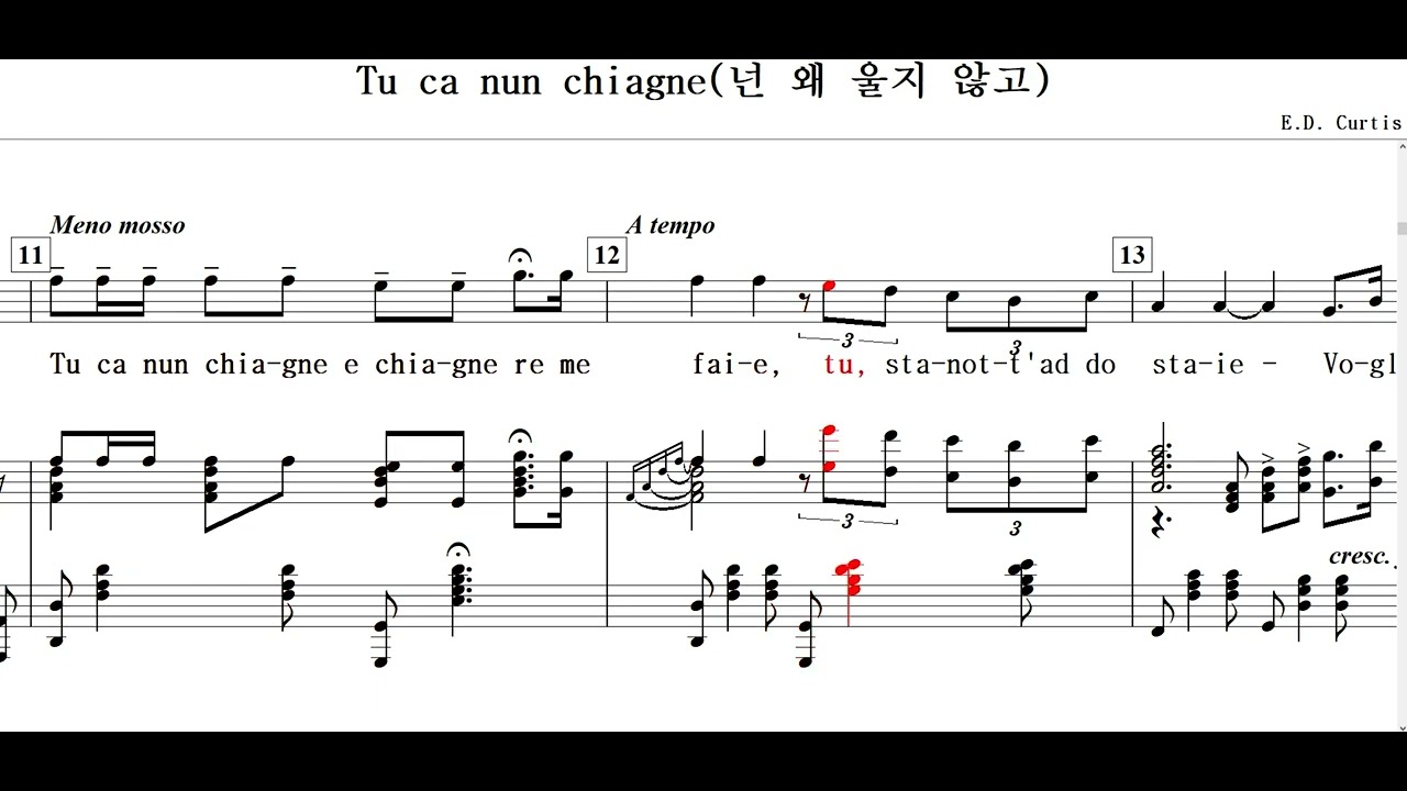 Tu ca nun chiagne(넌 왜 울지 않고)-E.D. Curtis