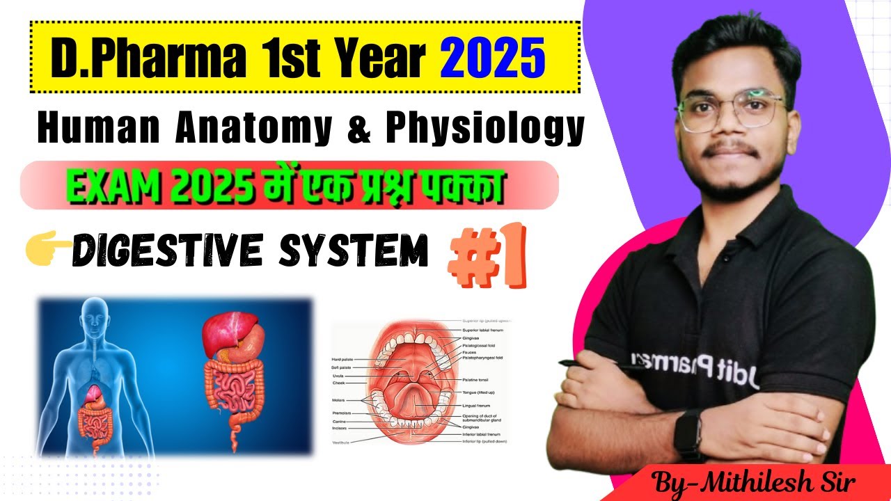 HAP Important Chapter | Digestive System Part-1| Anatomy & Physiology of GIT | By-Mithilesh Sir