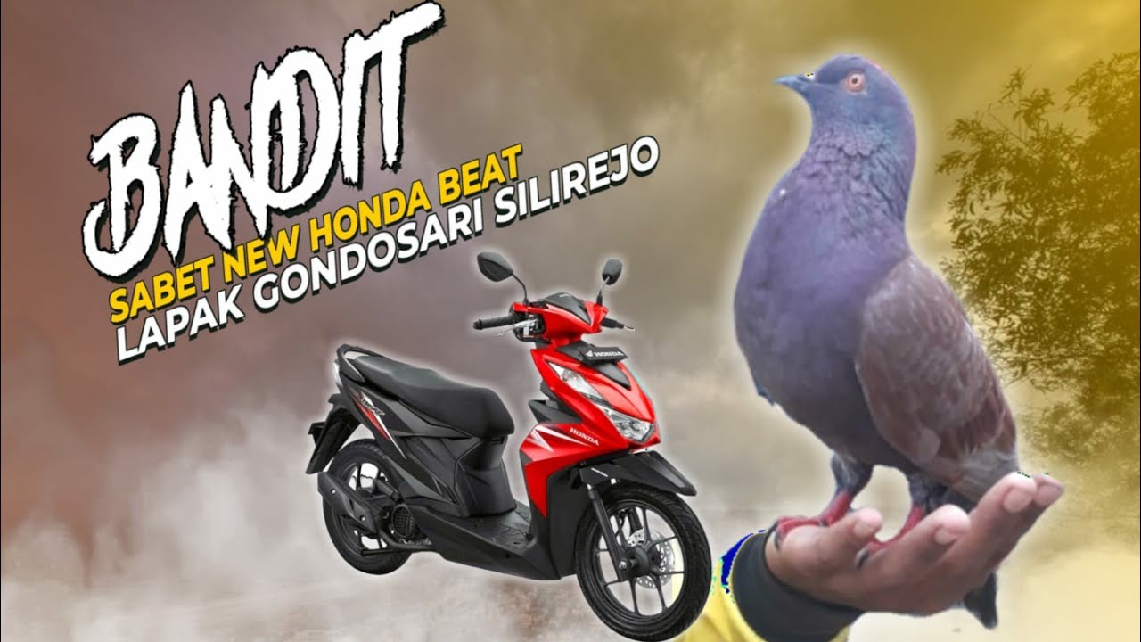 FINAL KEJUARAAN LOMBA MERPATI LAPAK GONDOSARI SILIREJO EVENT NEW HONDA BEAT