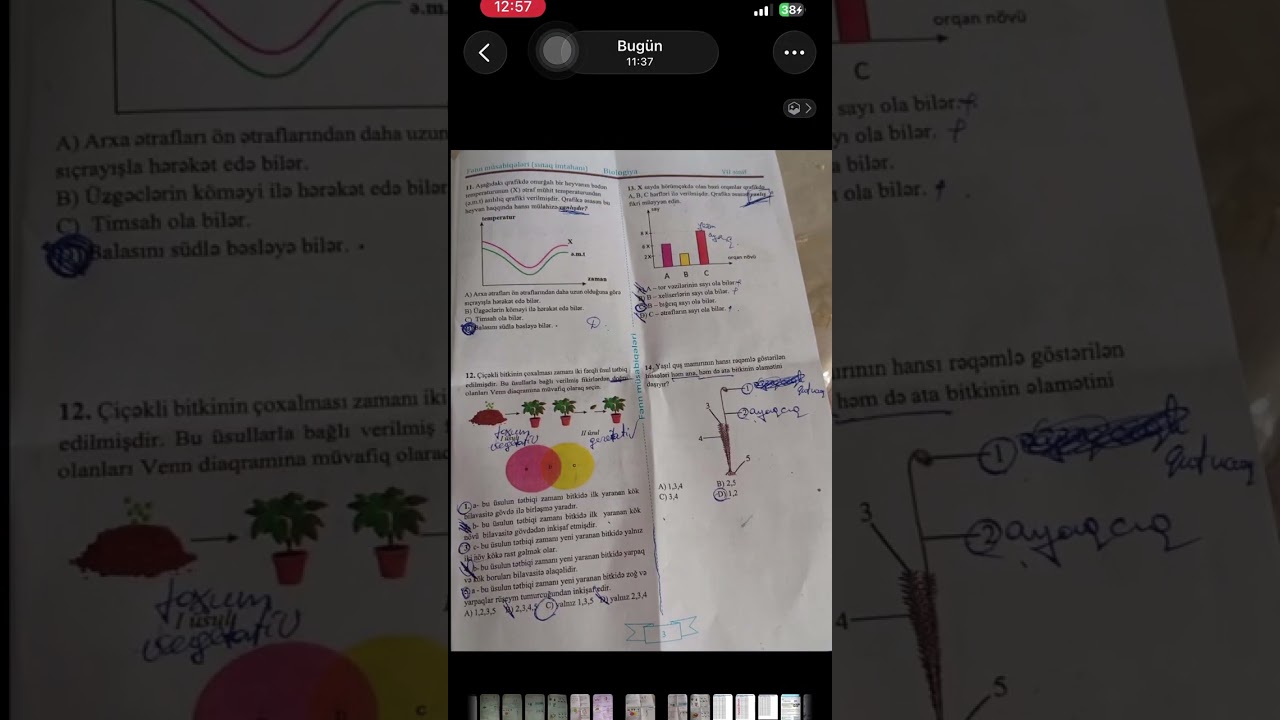 RFM Biologiya sınaq-3 izah. 01.03.2026