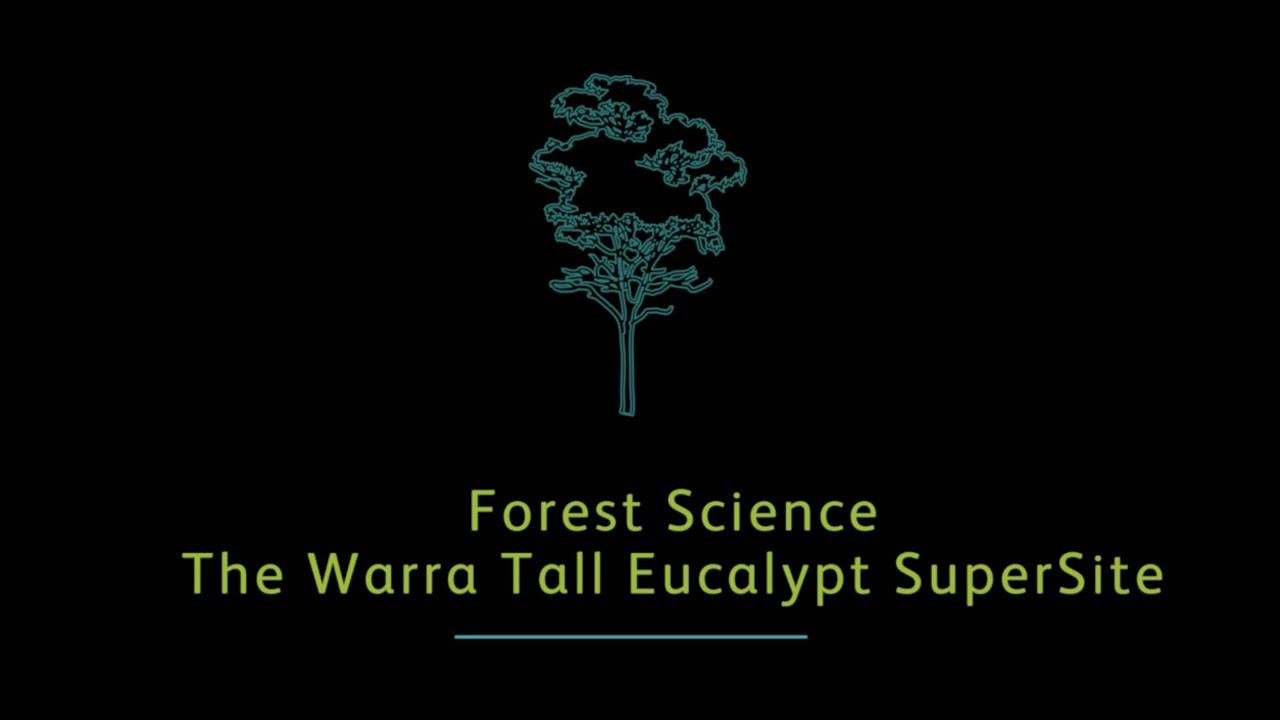 Forest Science - Warra Supersite