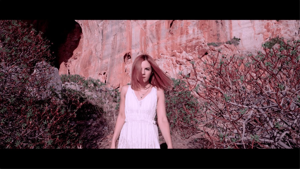Lunar Bird - Swallow Man Aviary (Official Video)